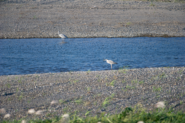 牧田川の風景風景ギャラリー岐阜県養老町の歴史文化資源