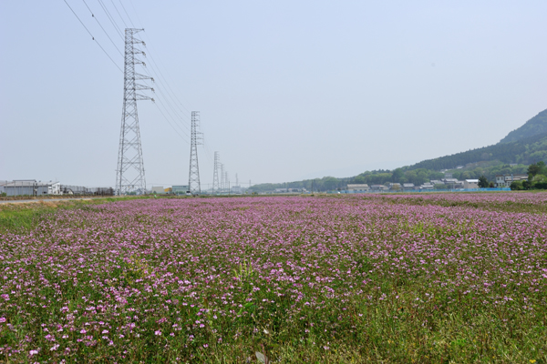 桜井の風景風景ギャラリー岐阜県養老町の歴史文化資源