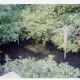 桜井白鳥神社　泉2、1997年