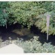 桜井白鳥神社泉3、1997年