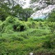 飯ノ木霊園　飯ノ木地区三昧跡