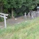 大巻（高柳）神明神社　全景堤防上より