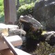 赤岩神社　水舎の蛙 