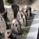 観音寺の7体の石仏 