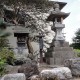 下笠構大神宮　秋葉神社 