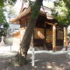 押越八幡神社　なぎの木　拝殿