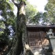 五日市八幡神社４