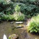 養老神社　菊水泉２