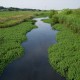 一色と横屋の字境付近の風景